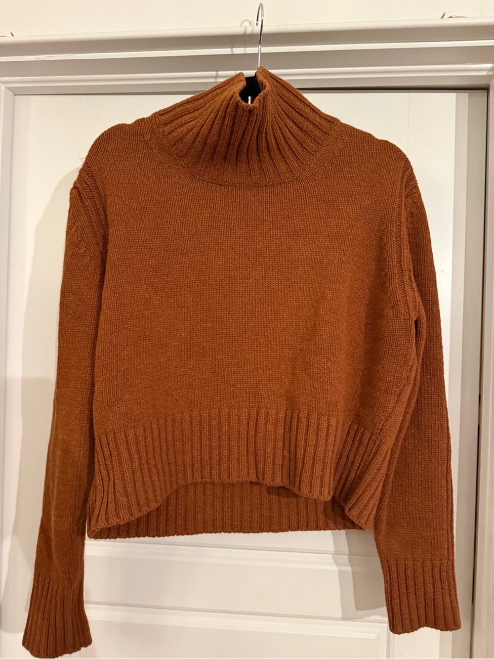 &daughter Ribbed Turtleneck Sweater in Rust